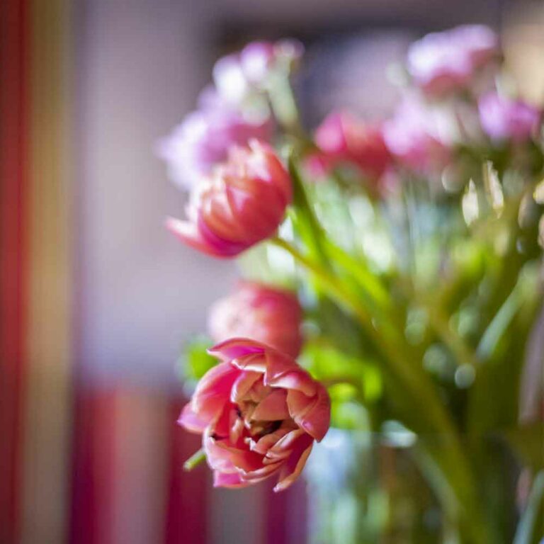 bouquet de fleurs